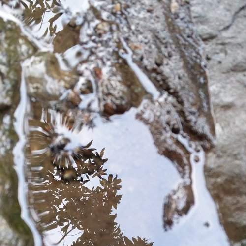 Reflection