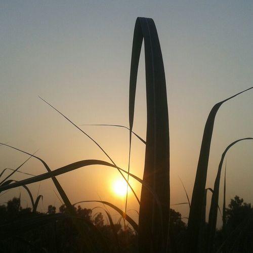 sun set