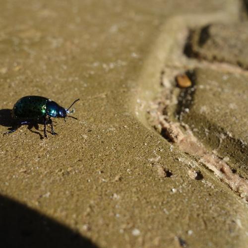 Photo #2082335