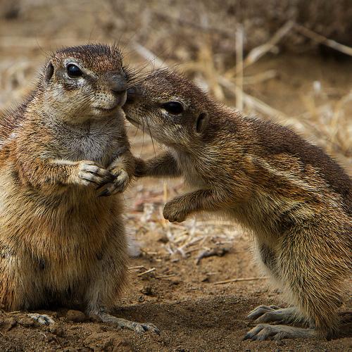 Do you want to know a secret