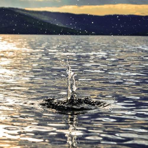 Photo #2085385