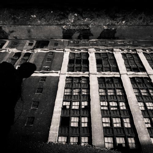 Window(s)