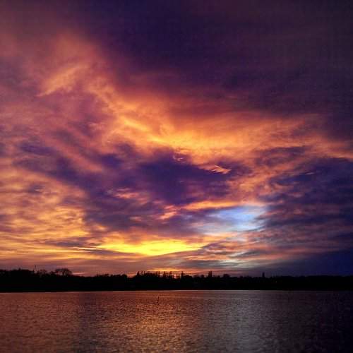 Photo #2089478