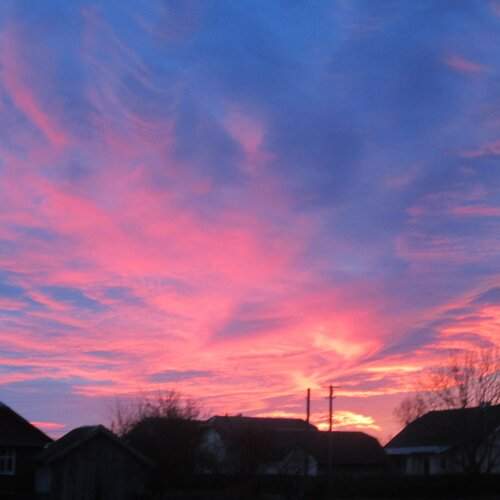 Photo #2089716