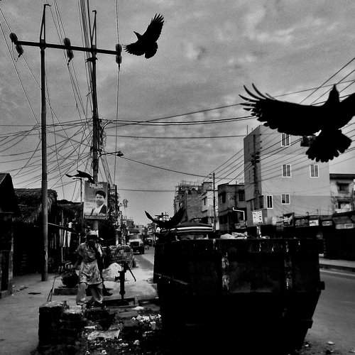 Flying With The Coexistence