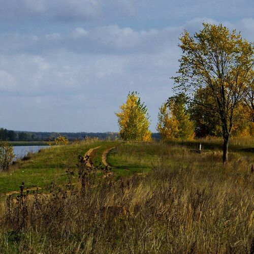 пейзаж