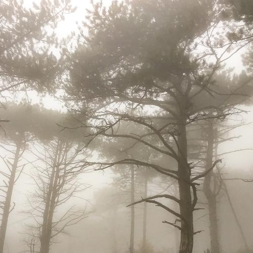 Photo #2092237