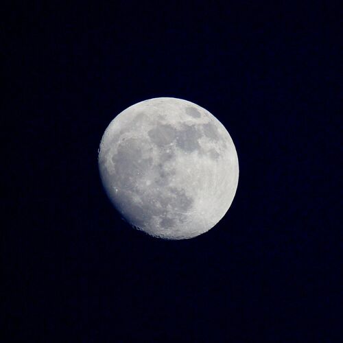 Photo #2092319