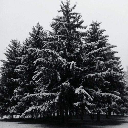 Photo #2092575