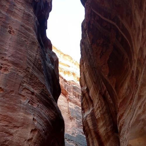 Photo #2093942