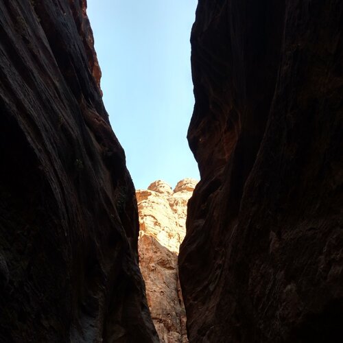 Photo #2093945