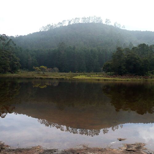 Nature's mirror