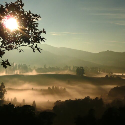 Sunrise