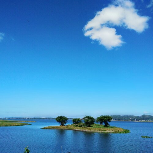 island