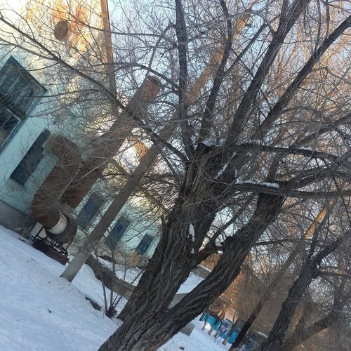 Дерево украшения