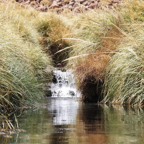 The shy waterfall