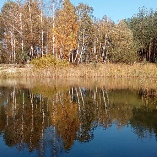 Пейзаж