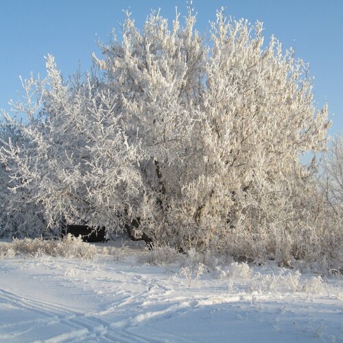 Photo #2098070