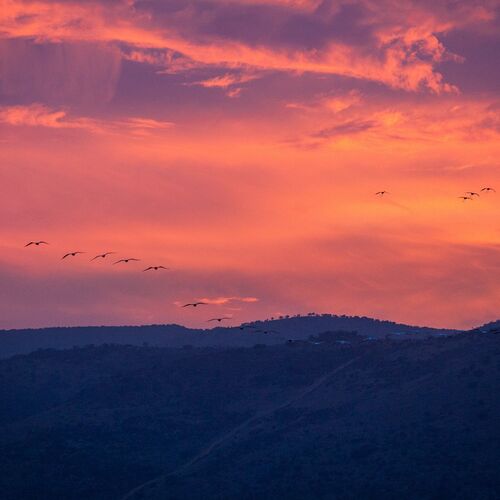 Sunset in Hula Valley