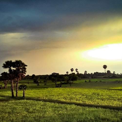 Nature Sunset