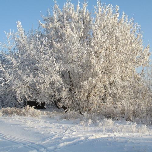 Photo #2098993