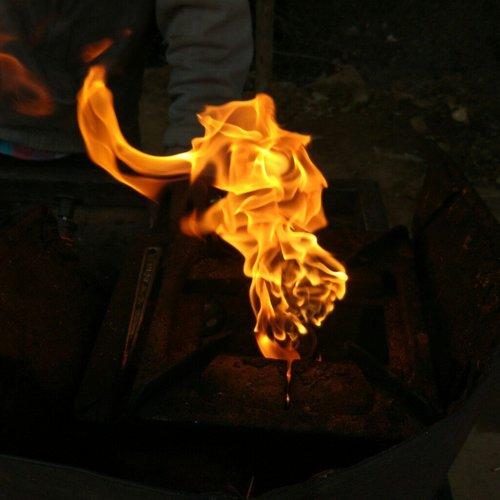 Fire flower