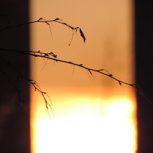 Photo #2099553