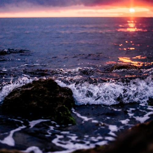 Photo #2099816