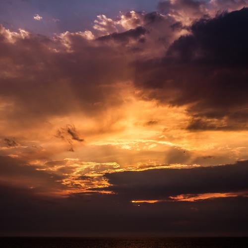 Photo #2099819