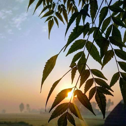 Sunrise