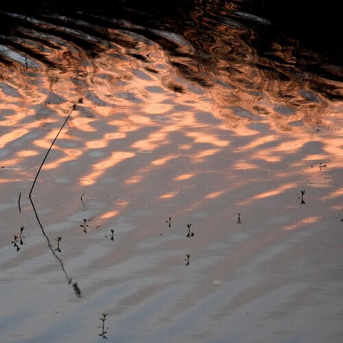 Coppery waves