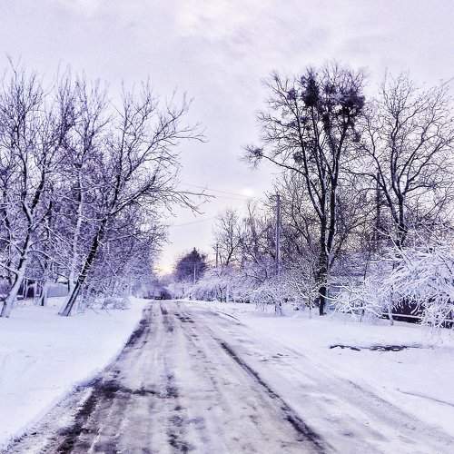 Photo #2101409