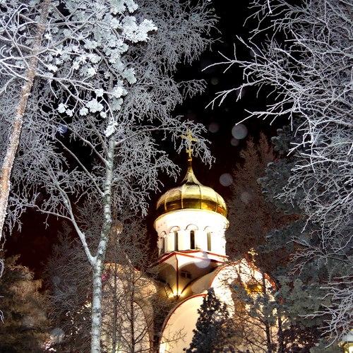 Photo #2101510
