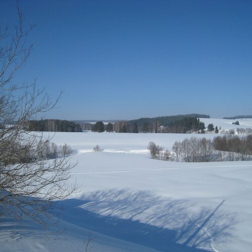 Зимний пейзаж