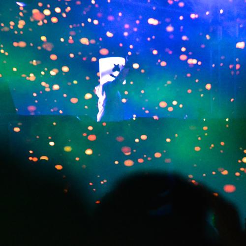 Marshmello Night
