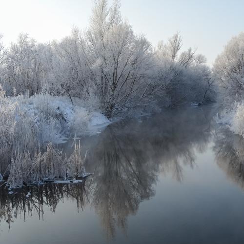 Photo #2102277