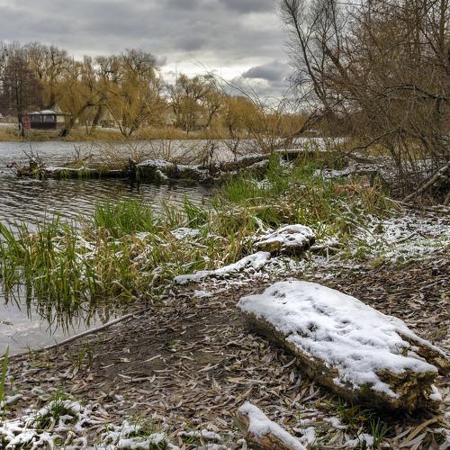 В старом парке