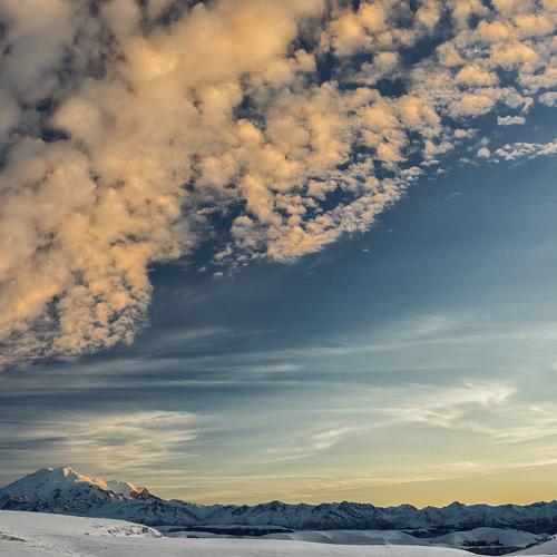 Photo #2102759