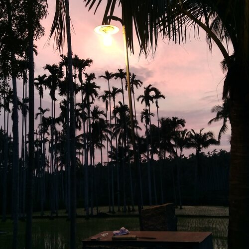 Evening time capture