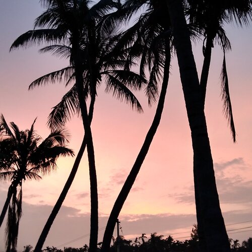 Evening time capture