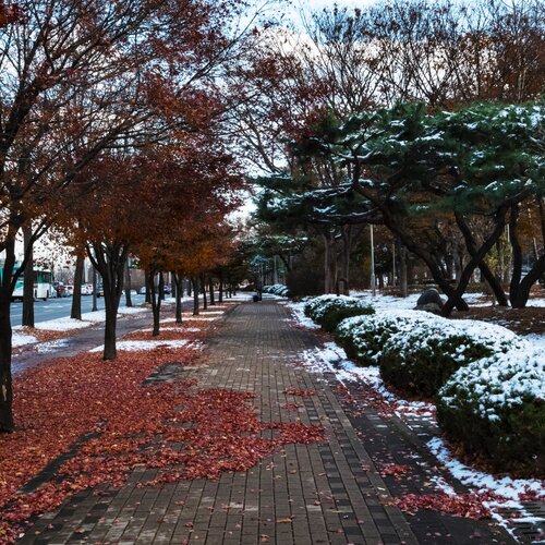 Photo #2103419