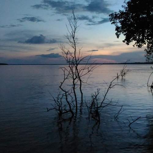 Twilight