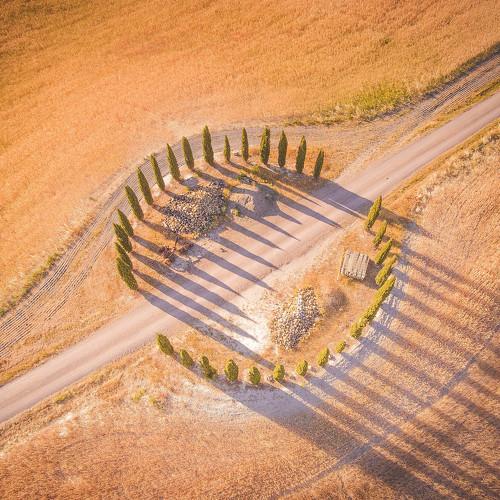 Photo #2104250