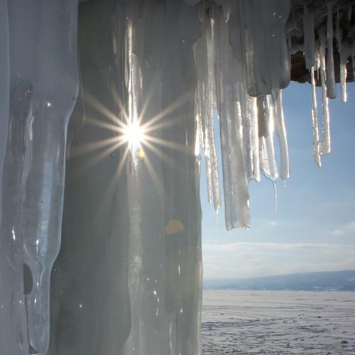 Photo #2104624