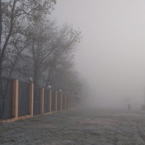 Парк