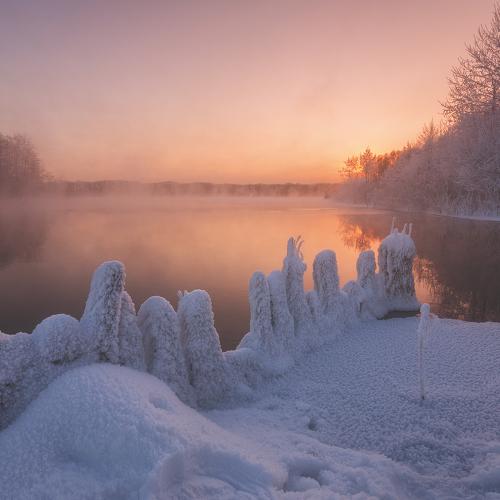 Утро цвета персика