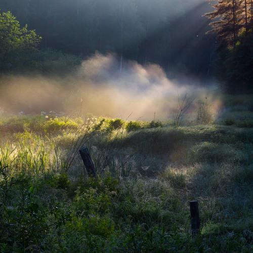 Photo #2105712