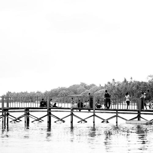 The bridge