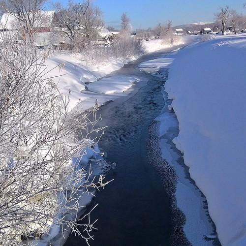 Photo #2106502
