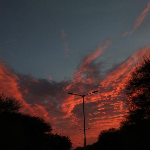 THE FRAME OF NATURE'S ILLLUSTRATION